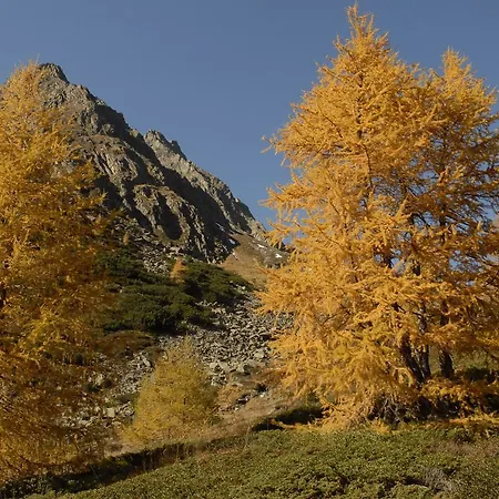 Post (adults Only) 4*