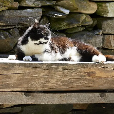 Post (adults Only) Szálloda Heiligenblut