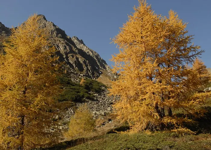 Post (adults Only) 4*