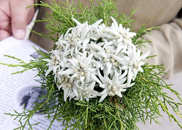 Post (adults Only) Heiligenblut