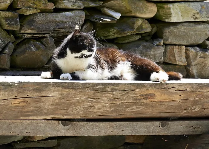 Post (adults Only) Hotel Heiligenblut