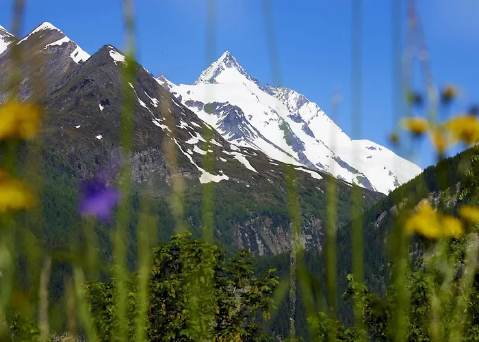 Post (adults Only) 4*